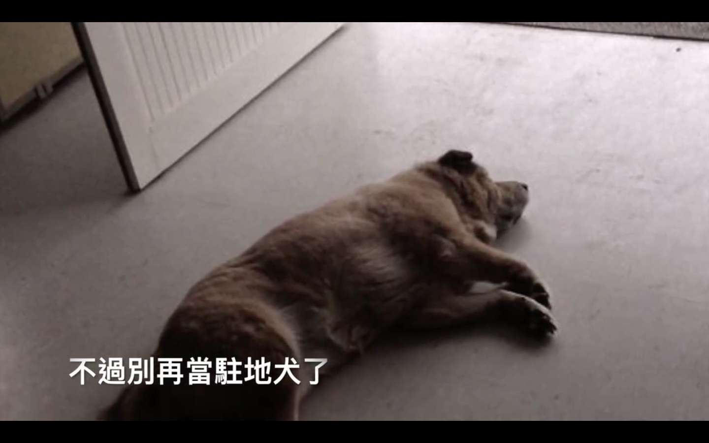圖片來源：嘉義市政府消防局第一分隊-太陽分隊