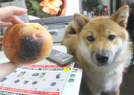 圖片來源:Daily Portal