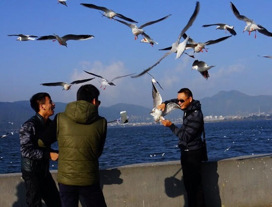 ​圖片來源：昆明信訊港