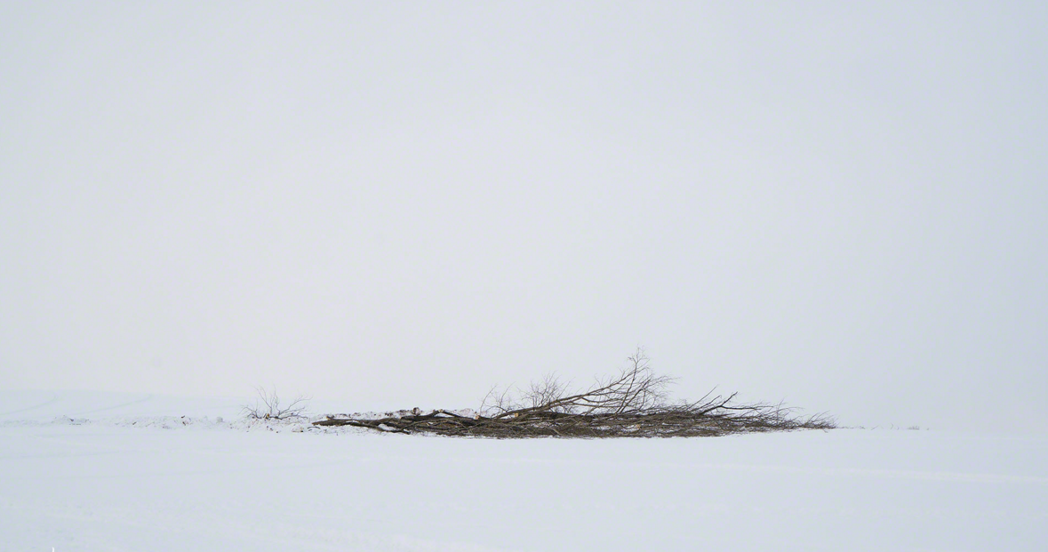 圖片來源:Kent Shiraishi