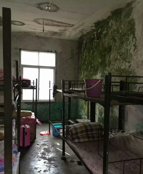 圖片來源:阿波羅