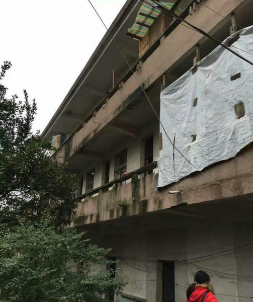 圖片來源:阿波羅