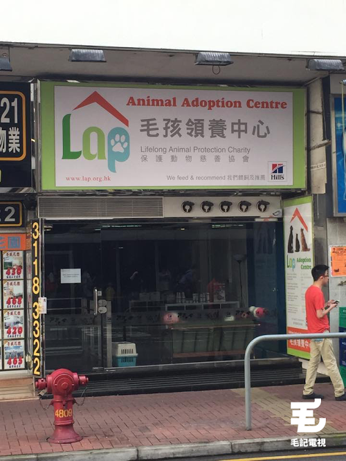圖片來源:Agnès Ng