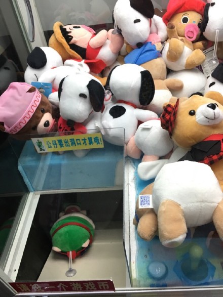圖片來源：一隻學霸/微博