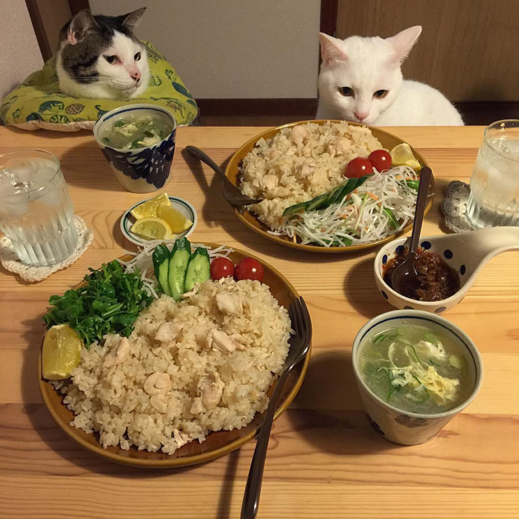 圖片來源:naomiuno/instagram