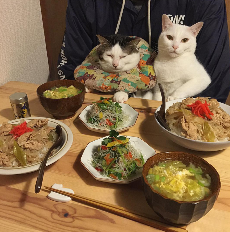 圖片來源:naomiuno/instagram