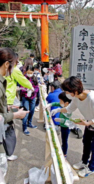 圖片來源:宇治上神社