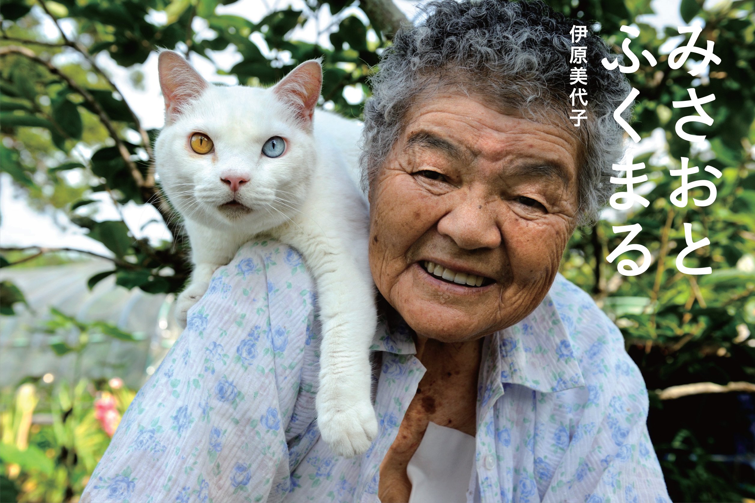 圖片來源:伊原美代子