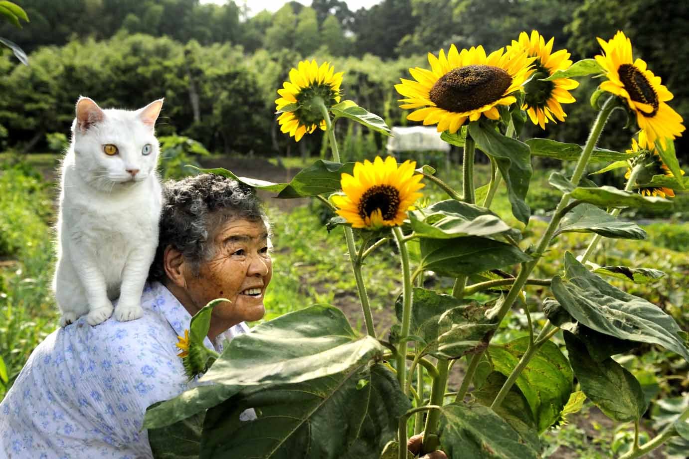 圖片來源:伊原美代子