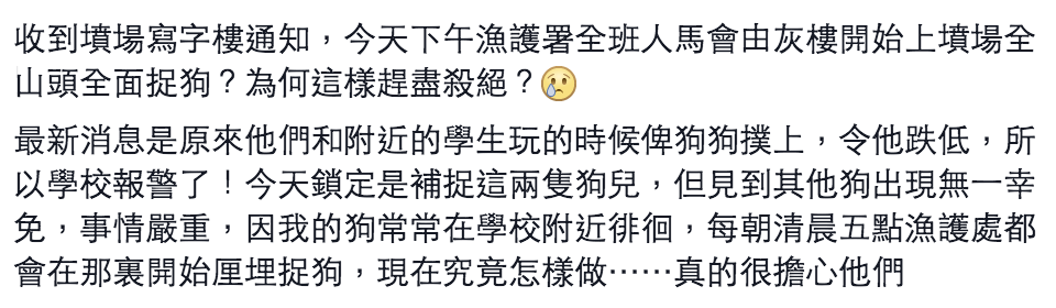 圖片來源: Kaya Leung/唐狗會學習營
