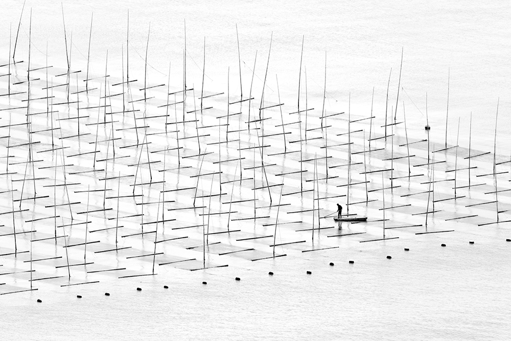 ​圖片來源：Tugo Cheng/ 2016 Sony World Photography Awards Exhibition
