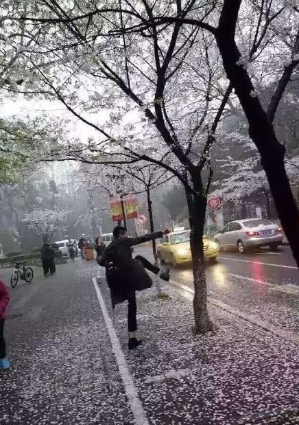 圖片來源：中新網