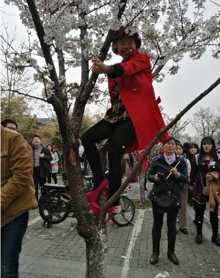 圖片來源：中新網