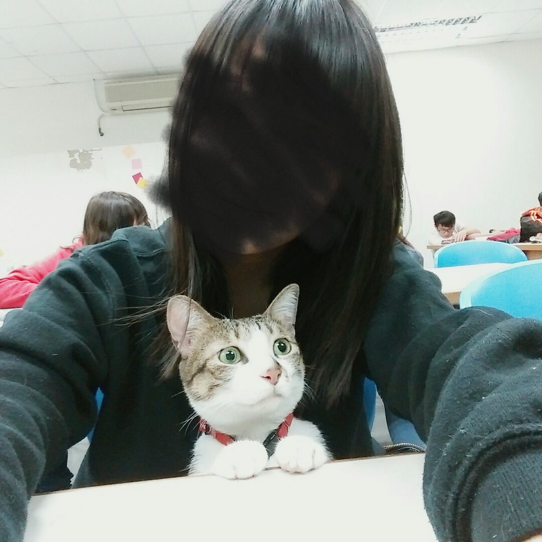 圖片來源:dcard