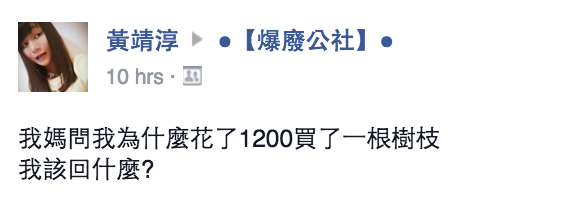 圖片來源:黃靖淳/●【爆廢公社】●