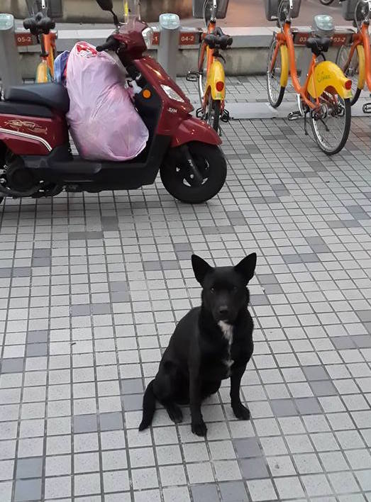 圖片來源:何金