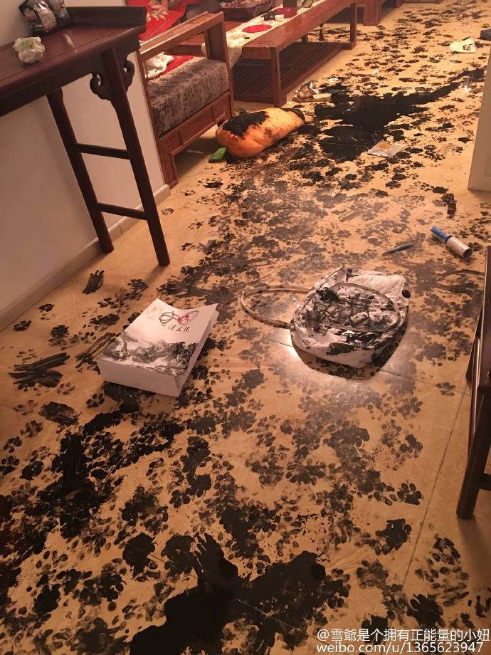 圖片來源:微博