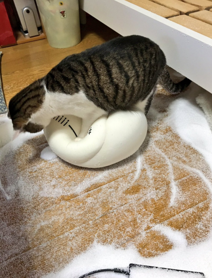 圖片來源:norn292_9/twitter