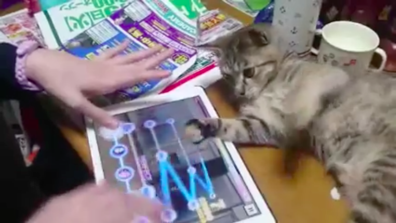 圖片來源:tkl72917291/twitter