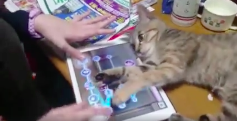 圖片來源:tkl72917291/twitter