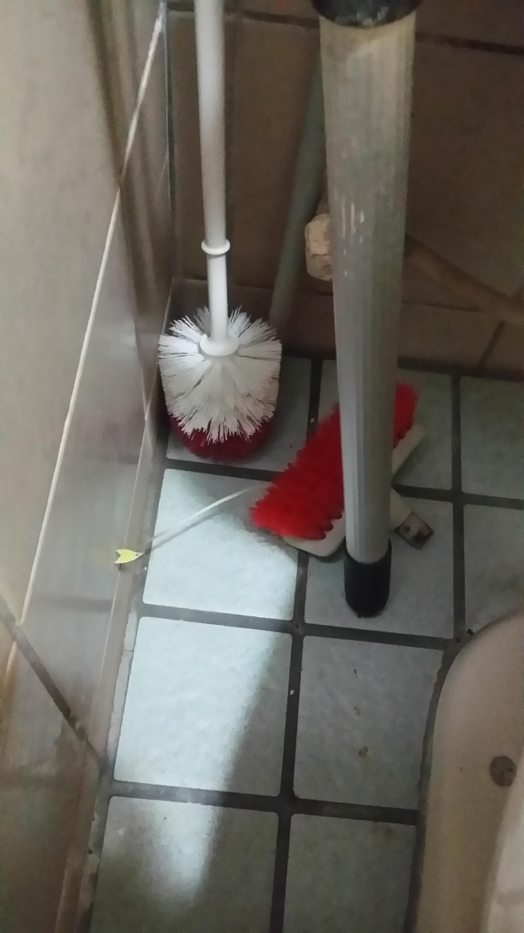圖片來源:VivaFox/PTT