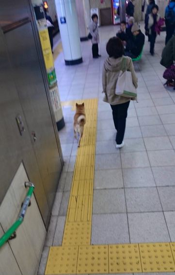 圖片來源:jun_rit314/twitter