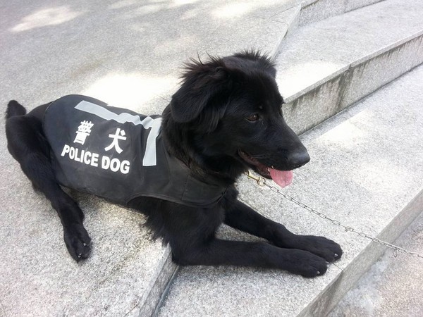 圖片來源:臺東縣警察局關山分局