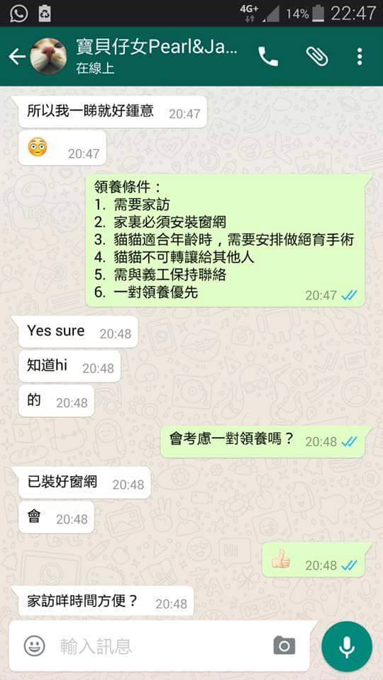 圖片來源：天下貓貓一樣貓