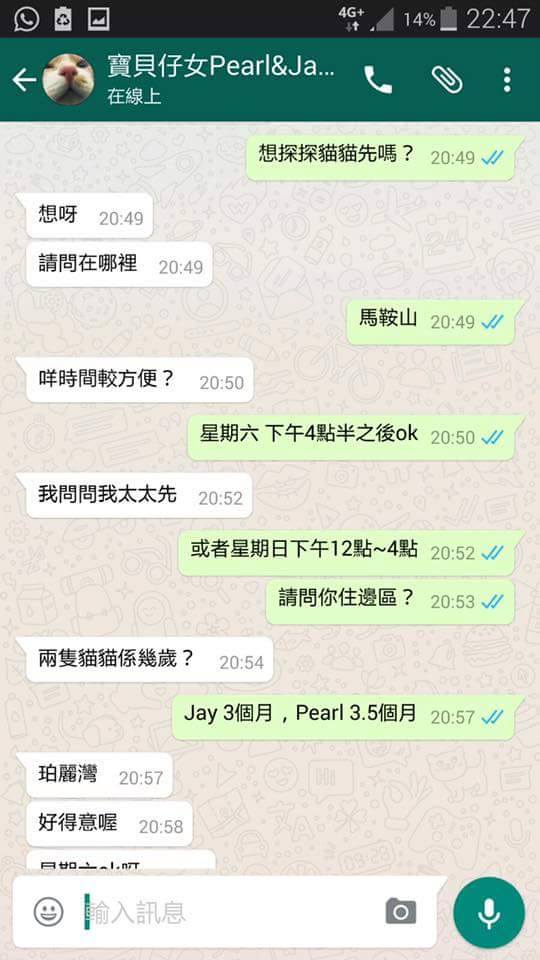 圖片來源：天下貓貓一樣貓