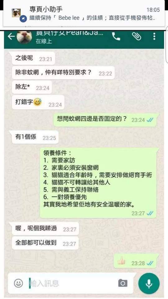 圖片來源：天下貓貓一樣貓