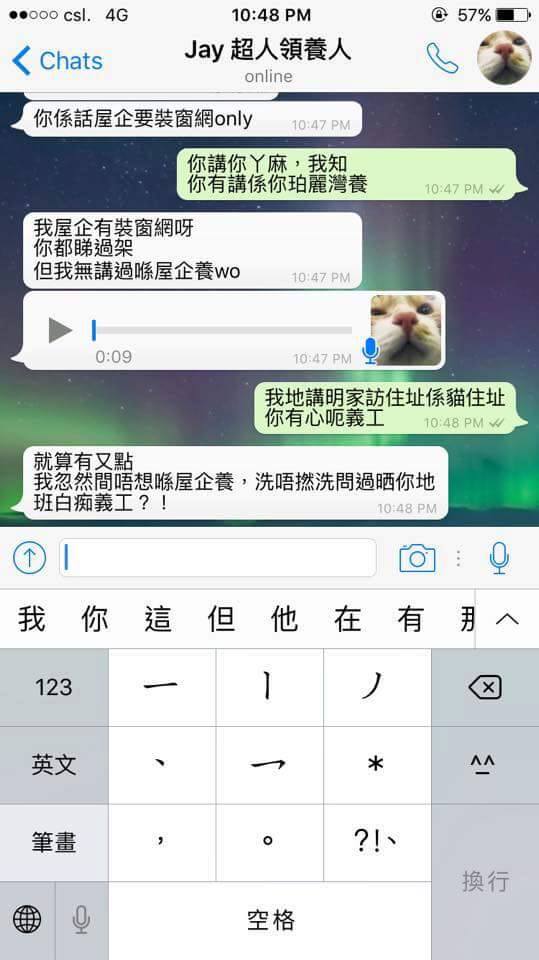 圖片來源：天下貓貓一樣貓