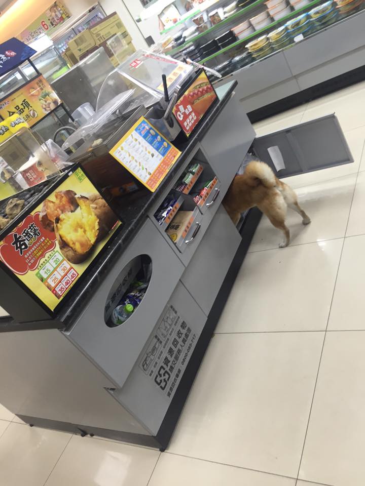圖片來源:陳祐