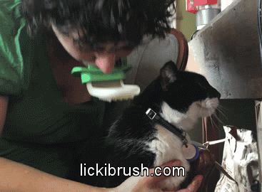 圖片來源: LICKI Brush - Lick Your Cat.