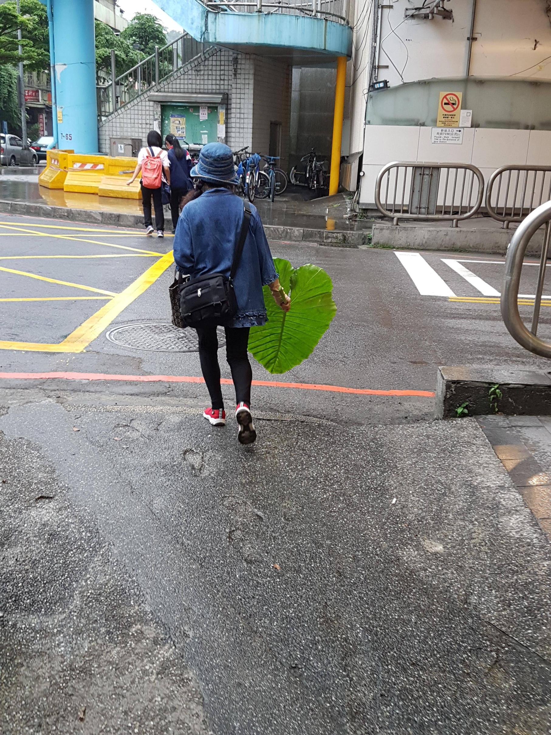 圖片來源：PTT