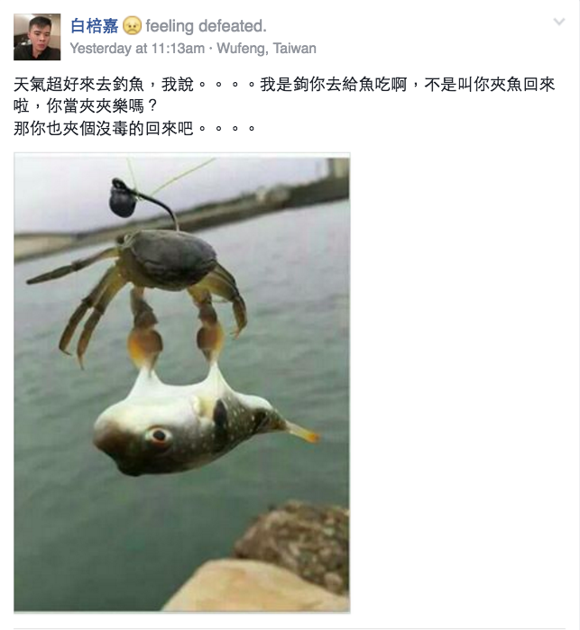  圖片來源：白棓嘉