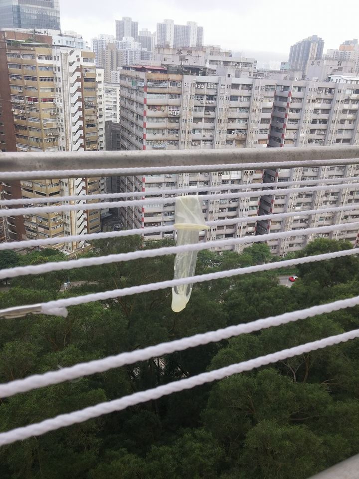 圖片來源：Karmen Siubun Chiu/Tai Po 大埔