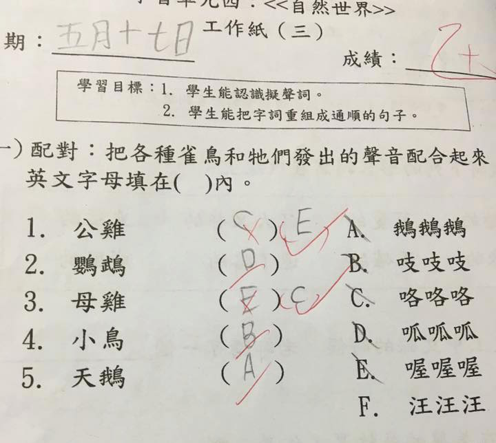 圖片來源:Emily Yeung/不願小朋友成為功課奴隸