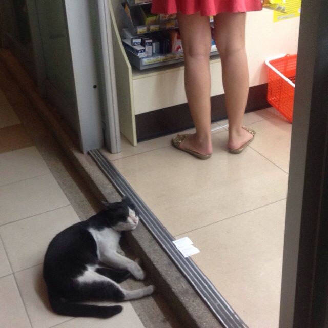 圖片來源:qilook