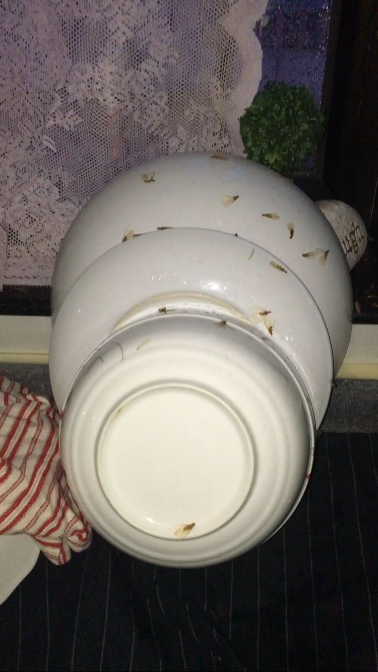 圖片來源:asasas711/香港討論區