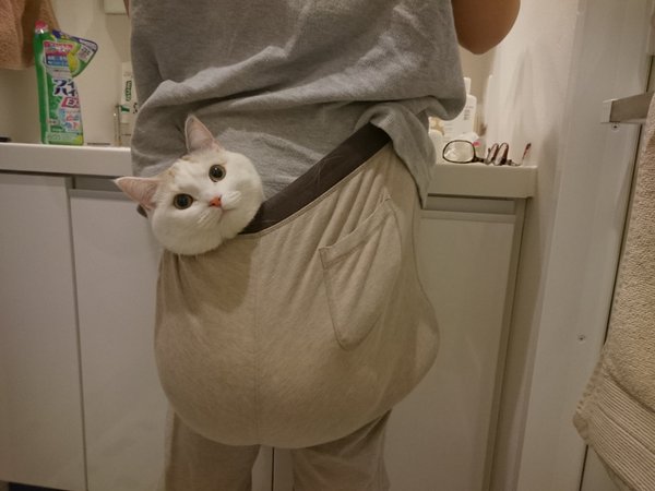圖片來源:takuromochi/twitter