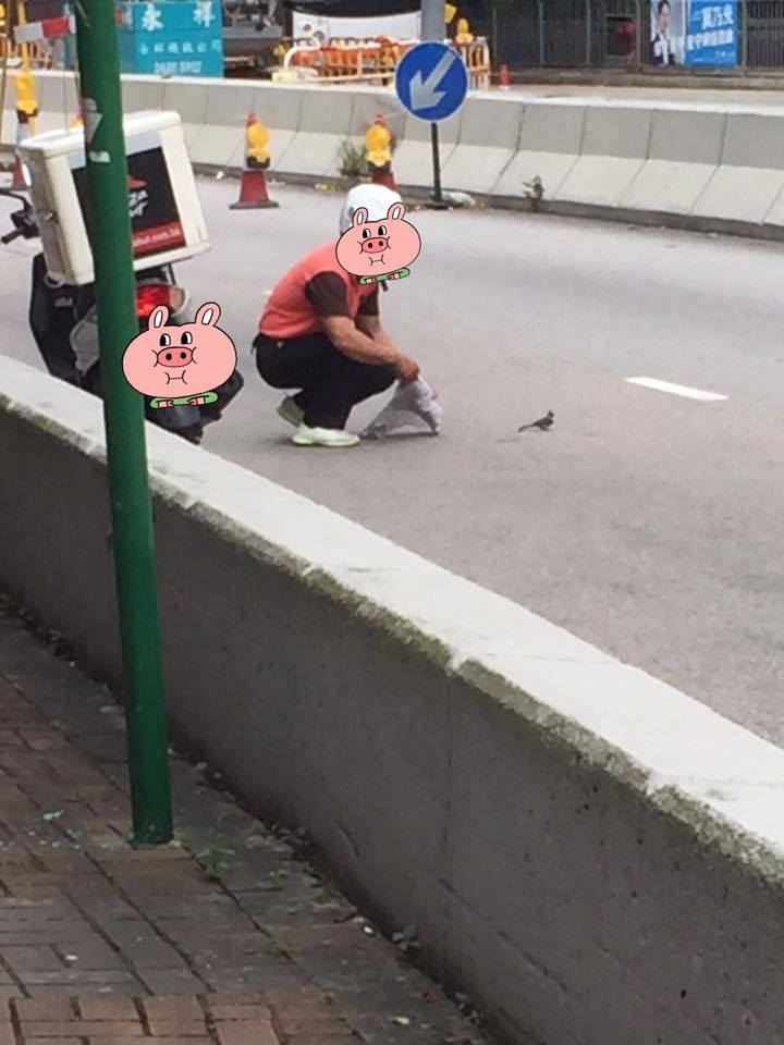 圖片來源:Chi Kit Wong/香港鐵騎館(吹水區)