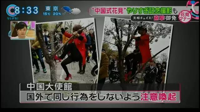 圖片來源:新浪新聞