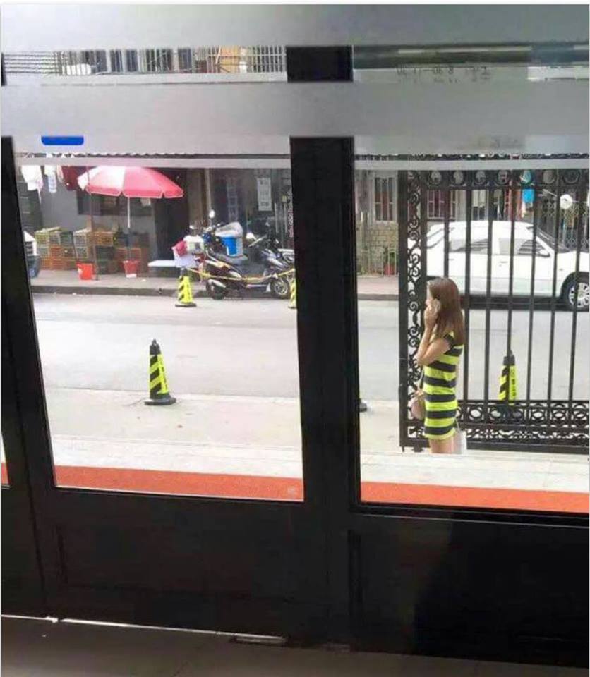 圖片來源:張大春