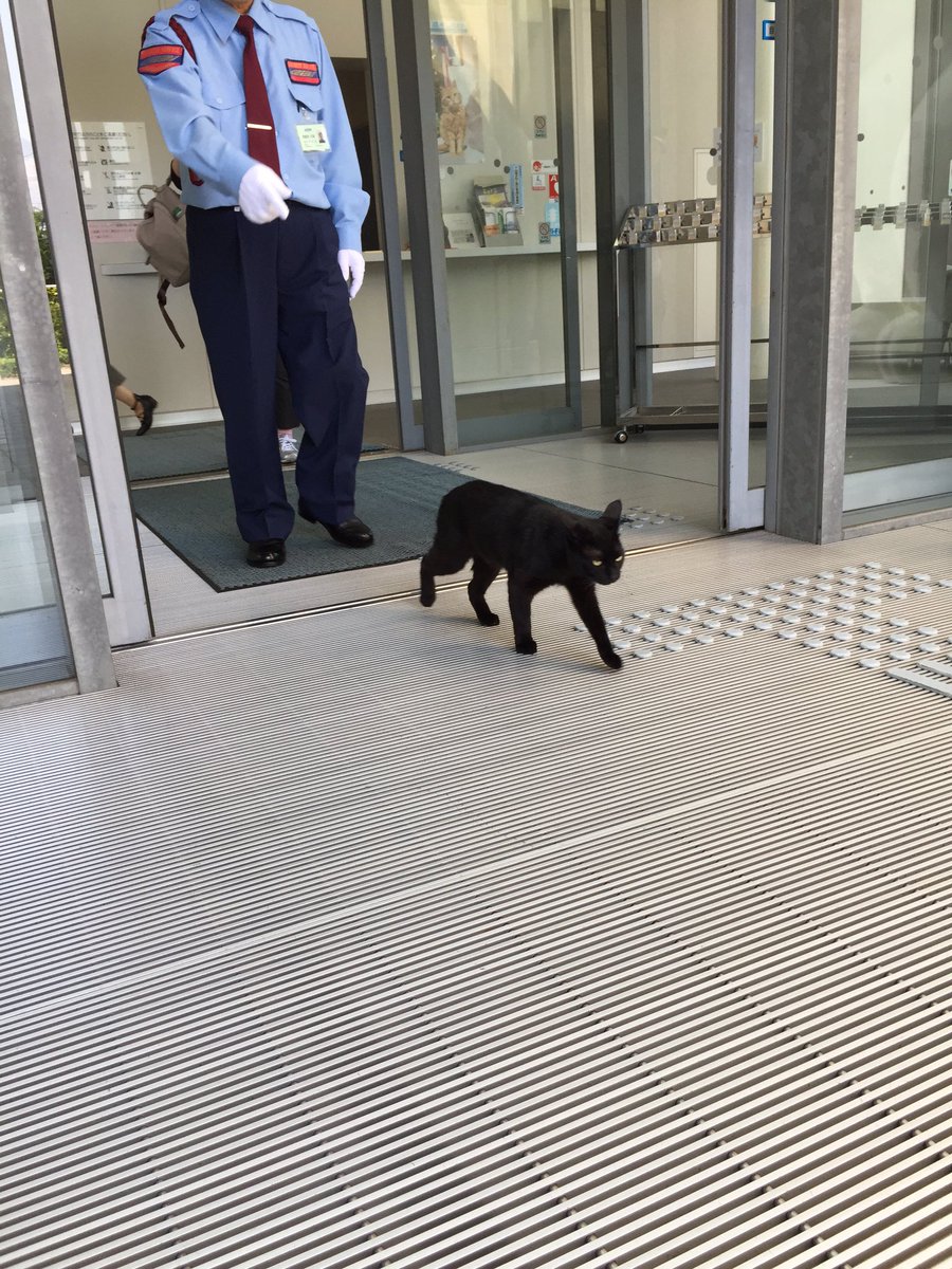 圖片來源:mukusuke/twitter