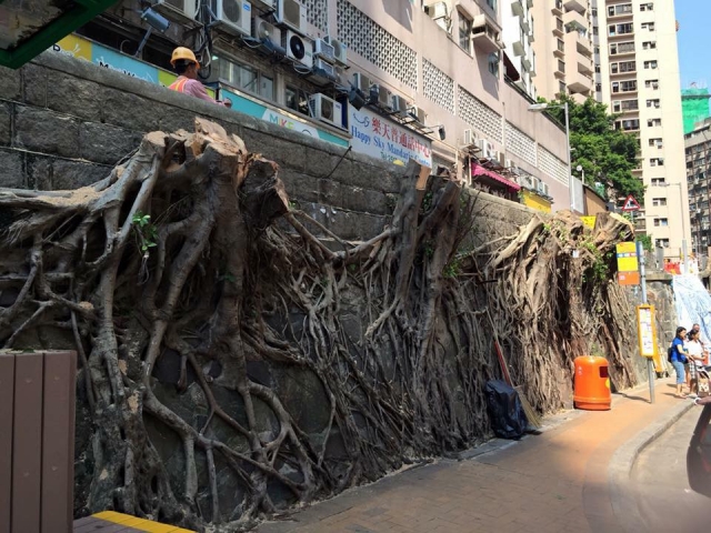 圖片來源:蘋果日報