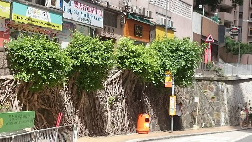 圖片來源: Tsui Ho Yee