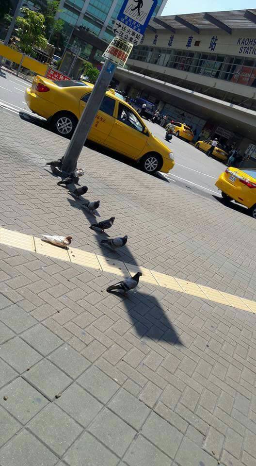圖片來源:大微風