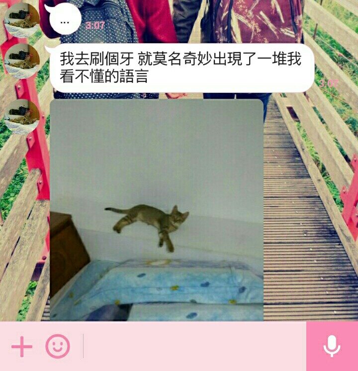 圖片來源:dcard