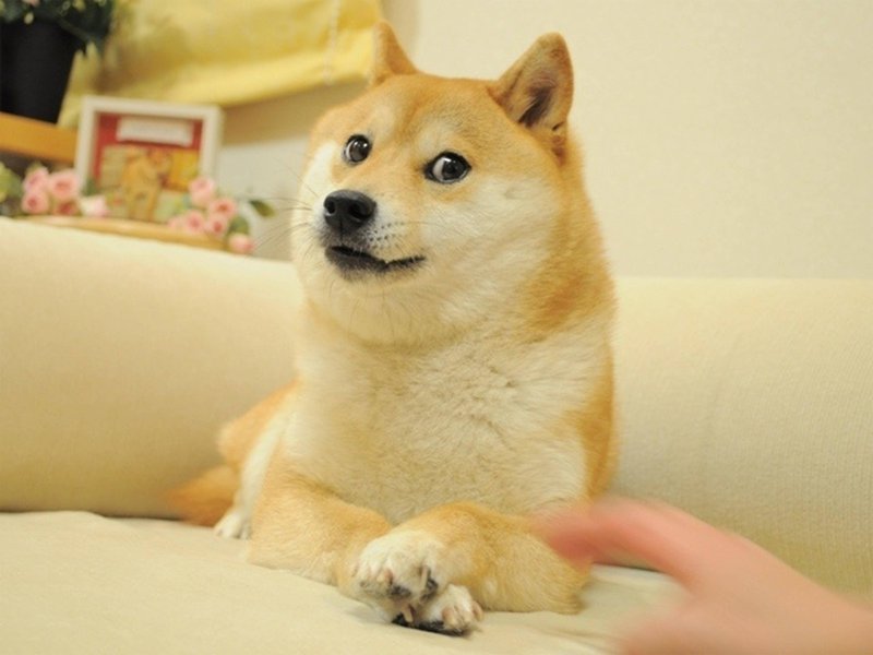 圖片來源：twitter