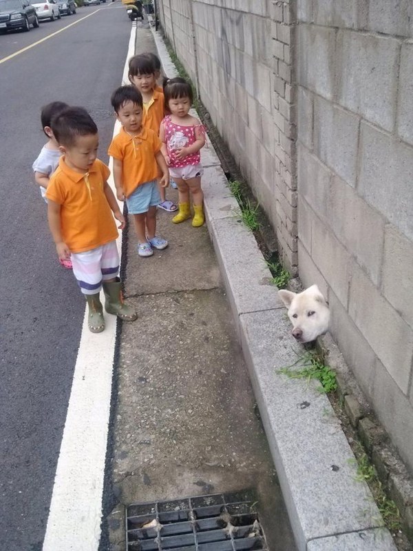 圖片來源：reddit